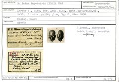 Karteikarte zum Syntyp von Bulimina imperatrix Karrer, 1868